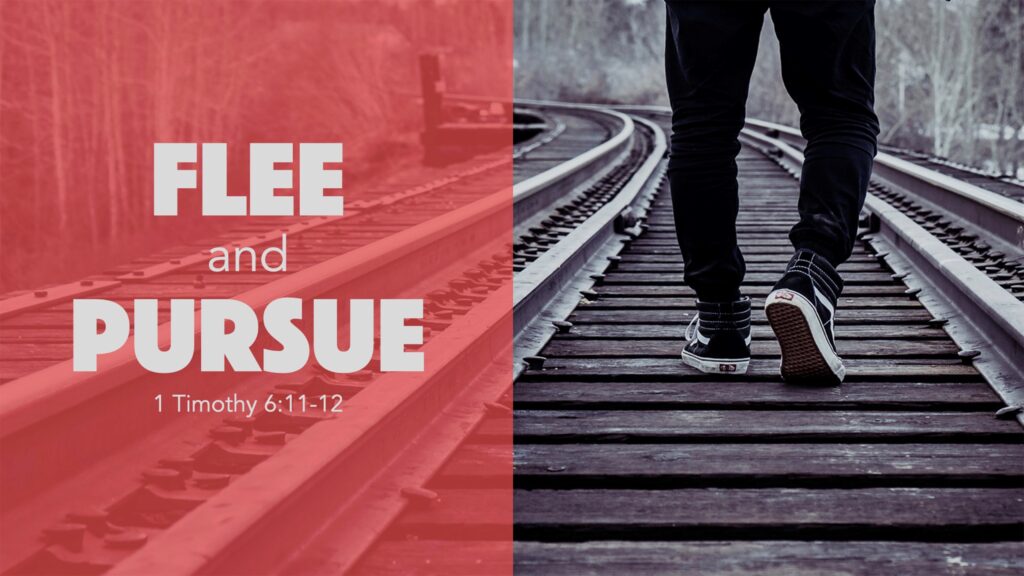 Flee and Pursue